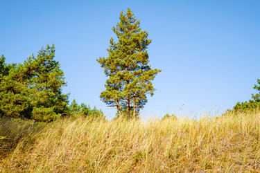 Similar image 22078959