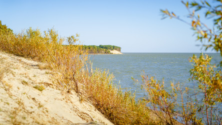 Similar image 22078960