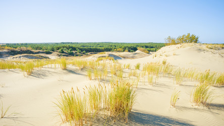 Similar image 22078961