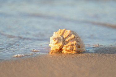 Similar image 22078962