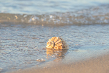 Similar image 22078963