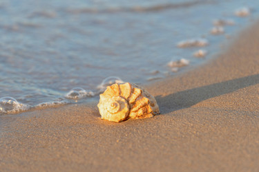 Similar image 22078964