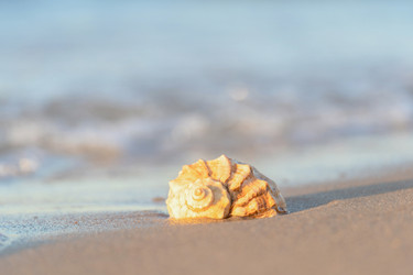 Similar image 22078966