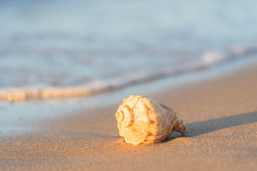 Similar image 22078967