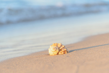 Similar image 22078968