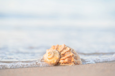 Similar image 22078970