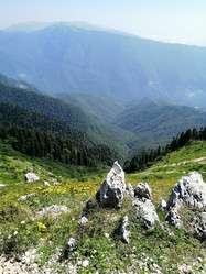 Similar image 22078623