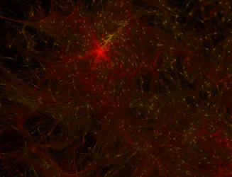 Similar image 22083783