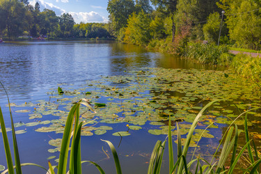 Similar image 22080520