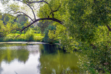 Similar image 22080521