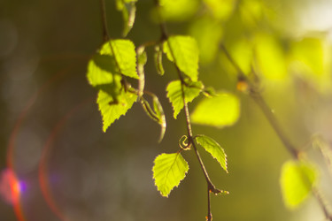 Similar image 22080525