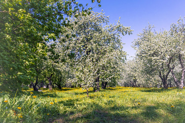 Similar image 22080526