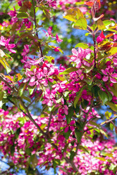 Similar image 22080527