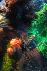 Similar image 22080528