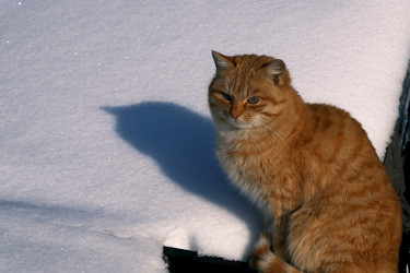 Similar image 22078809