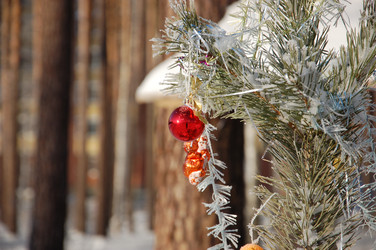 Similar image 22078811