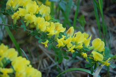 Similar image 22078813