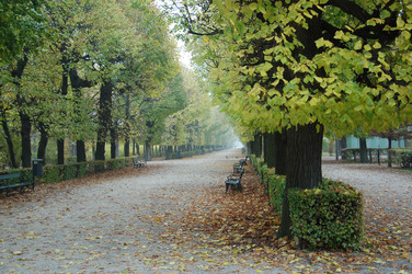 Similar image 22078626