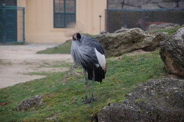 Similar image 22078405