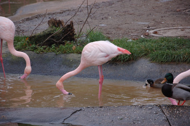 Similar image 22078406