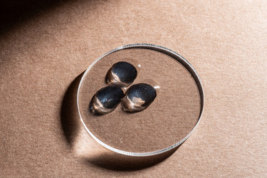 Similar image 22078859