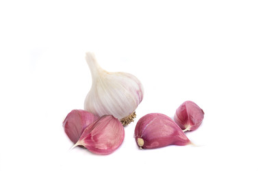 Similar image 22079515