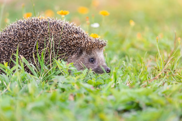 Similar image 22079526