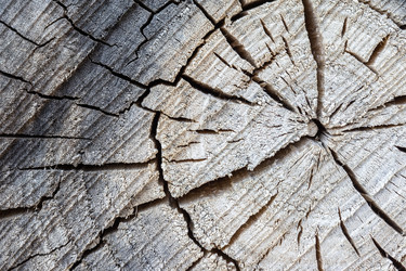 Similar image 22079531