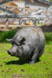 Similar image 22079532