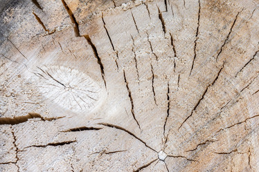 Similar image 22079533