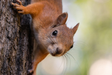 Similar image 22079748