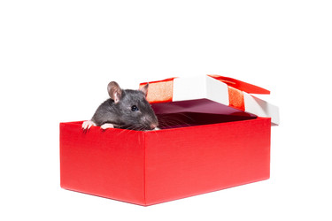 Similar image 22079762