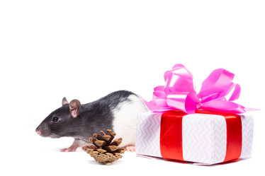 Similar image 22079764