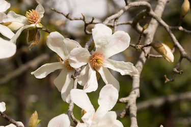 Similar image 22078836