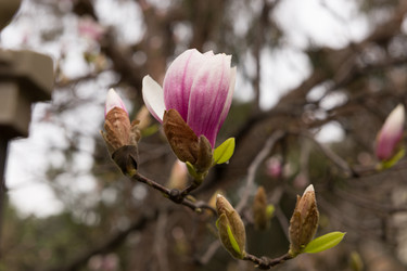 Similar image 22078884