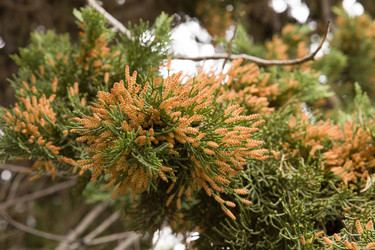 Similar image 22078885