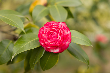 Similar image 22078886