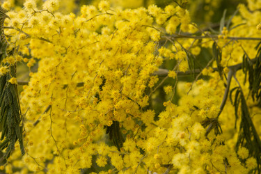 Similar image 22078887