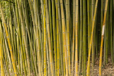 Similar image 22078889