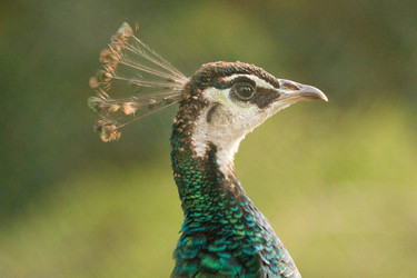 Similar image 22078890