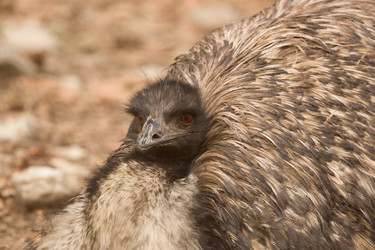 Similar image 22078891