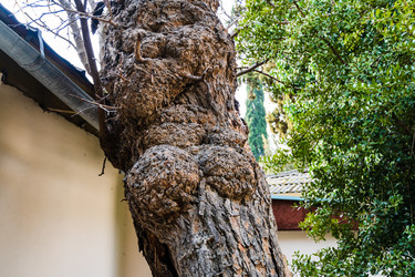 Similar image 22084138