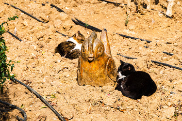 Similar image 22084139