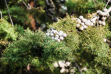 Similar image 22084141