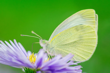 Similar image 22079769