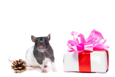 Similar image 22079772