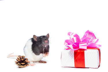 Similar image 22079774