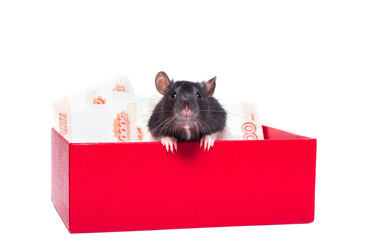 Similar image 22079775