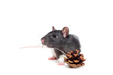 Similar image 22079781