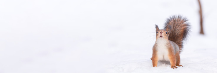 Similar image 22079786